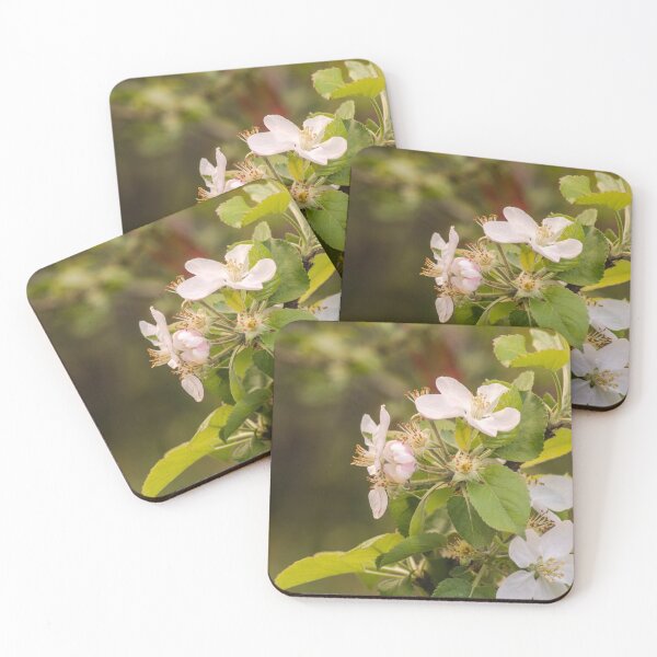 Item preview, ebs apricot blossoms designed and sold by pcfyi.