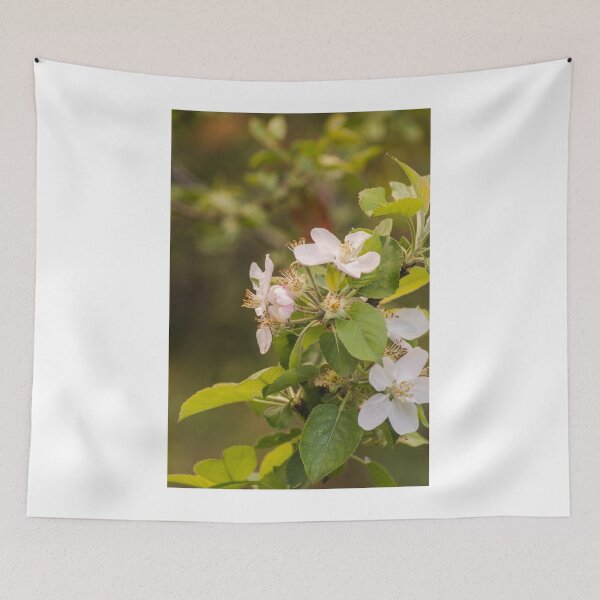Item preview, ebs apricot blossoms designed and sold by pcfyi.