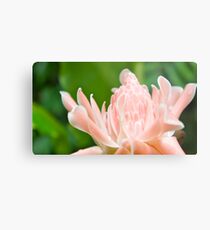 PINK Metal Print