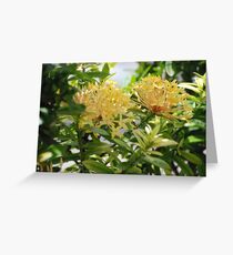 Barbados Spring Theme - Pink Ixora If you like, please purchase, try a cell phone cover thanks Greeting Card