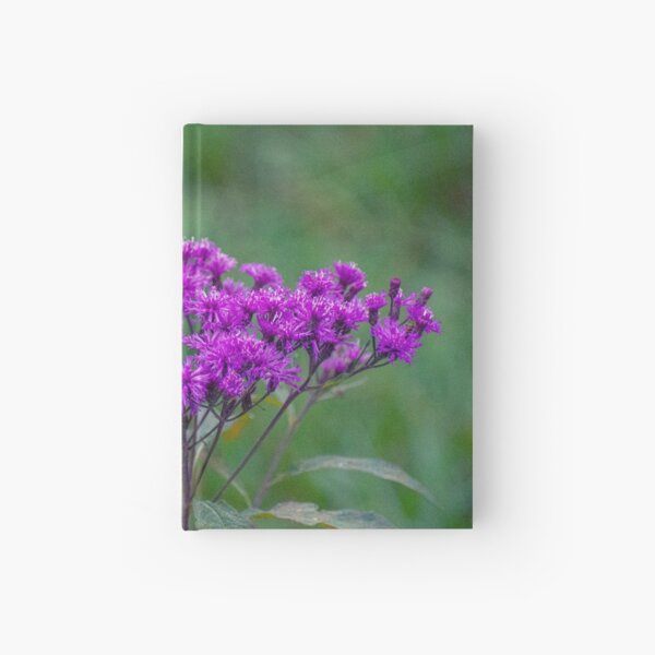 Tall Ironweed Hardcover Journal