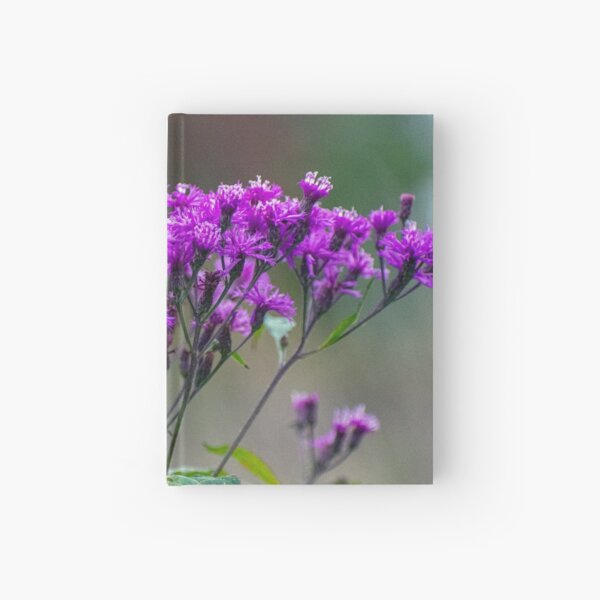Tall Ironweed Hardcover Journal