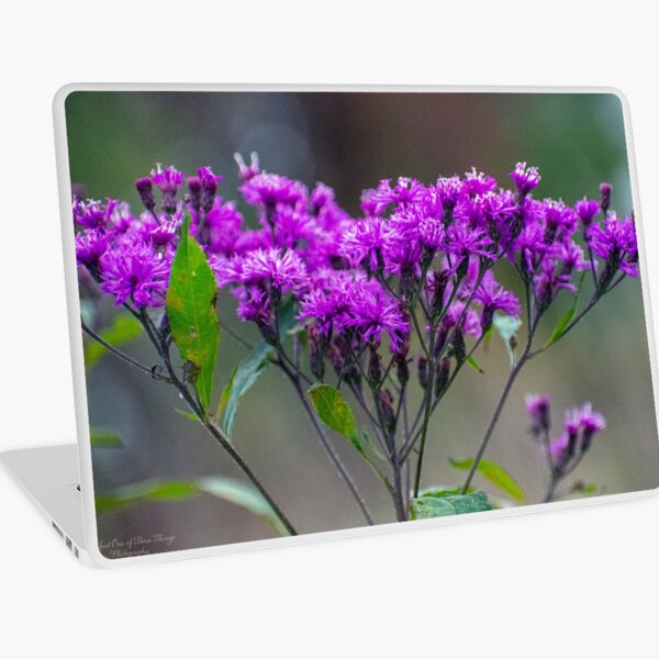 Tall Ironweed Laptop Skin
