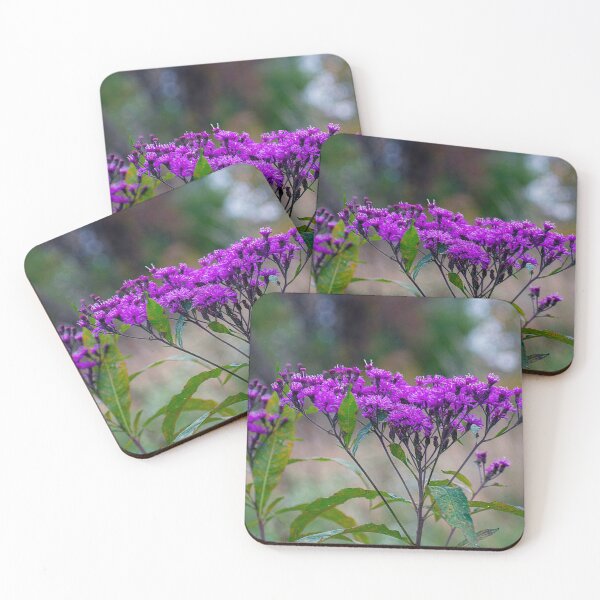 Tall Ironweed Coasters (Set of 4)