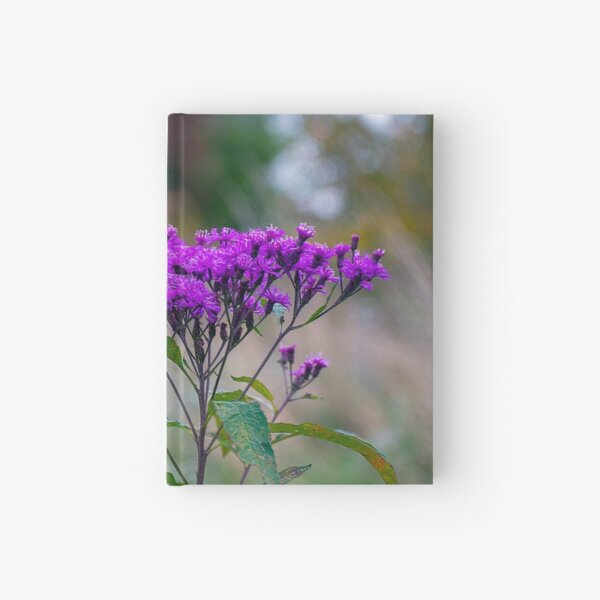 Tall Ironweed Hardcover Journal