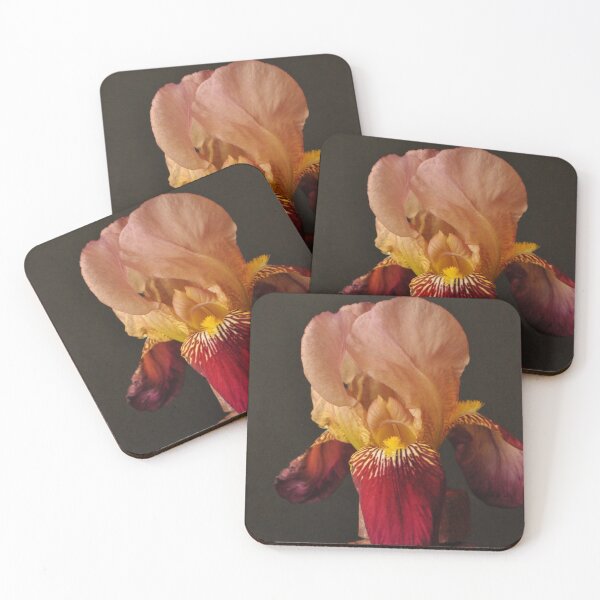 Item preview, Iris sp. designed and sold by Julie Sherlock.