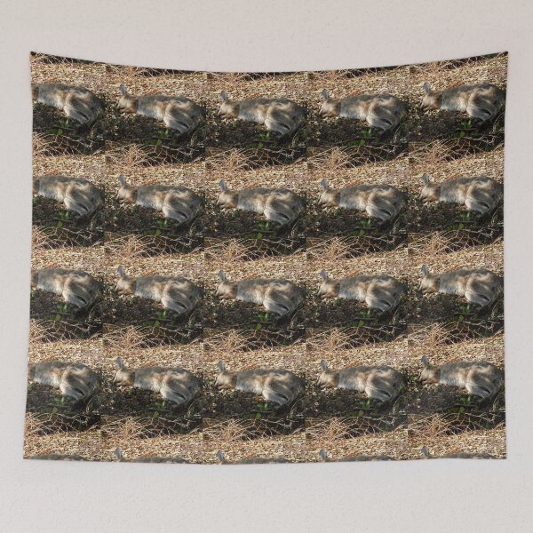 Item preview, Resting in the shade designed and sold by Ovahill.