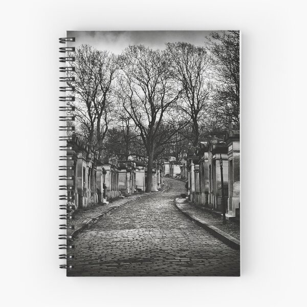 Item preview, Callejón y árboles desnudos en el cementerio Pere lachaise, plaza monocroma designed and sold by Kostas Pavlis.