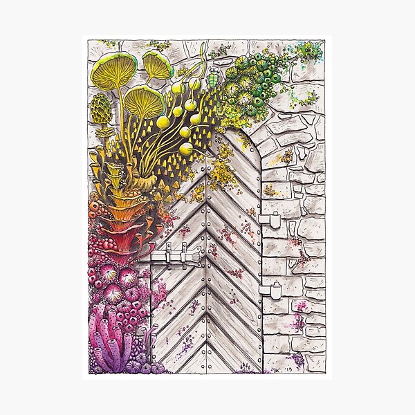 Door with Rainbow Nature Photographic Print