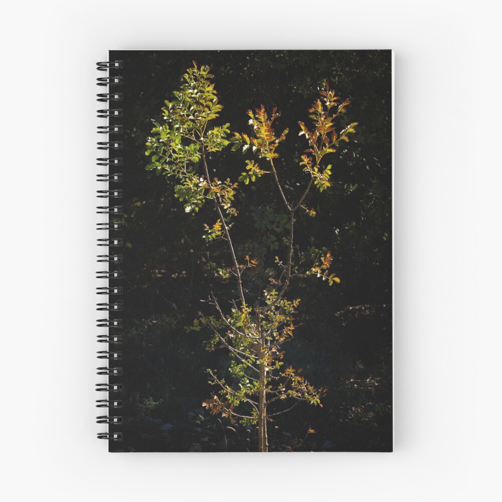 Item preview, Spiral Notebook designed and sold by RalphGoldsmith.