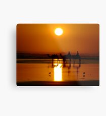 Ships of the Desert Metal Print