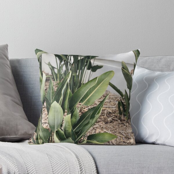 Item preview, Nature Walk designed and sold by emmaruk.