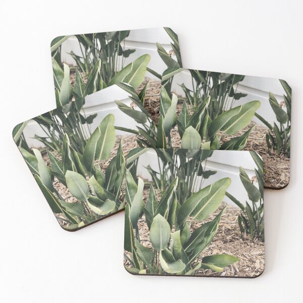 Item preview, Nature Walk designed and sold by emmaruk.
