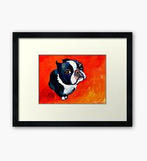 Boston Terrier dog #1 painting Svetlana Novikova Framed Print