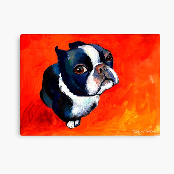 Boston terrier portrait dog drawing print on stretched canvas fine art memorial print painting