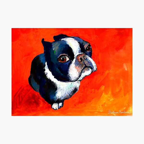 Item preview, Boston Terrier dog #1 painting Svetlana Novikova designed and sold by Svetlana  Novikova.