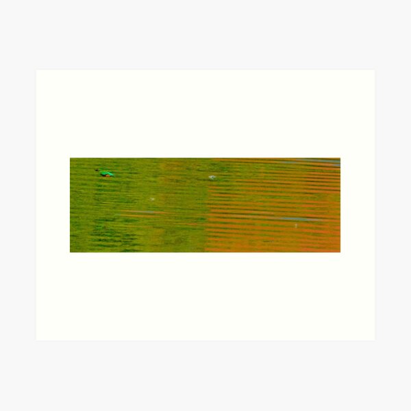 Item preview, STEALTH COLOUR FLIGHT PATH designed and sold by NICK COBURN PHILLIPS.