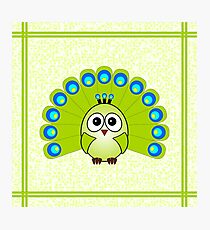 Little Cute Peacock Photographic Print