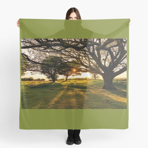 Spring Evening Sun Scarf