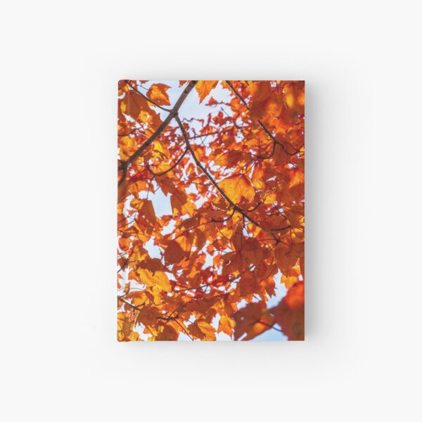 Fall Maple Hardcover Journal