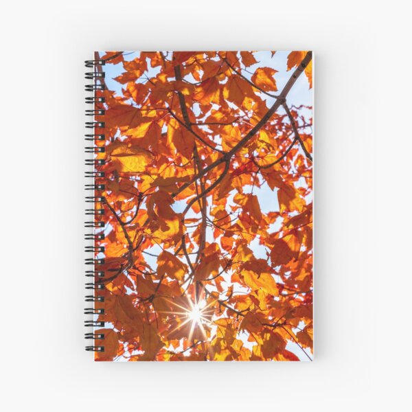 Fall Maple Spiral Notebook