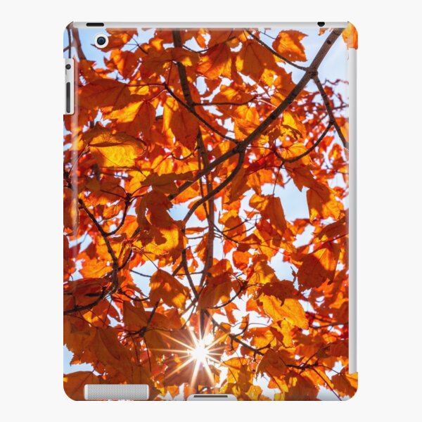 Fall Maple iPad Snap Case