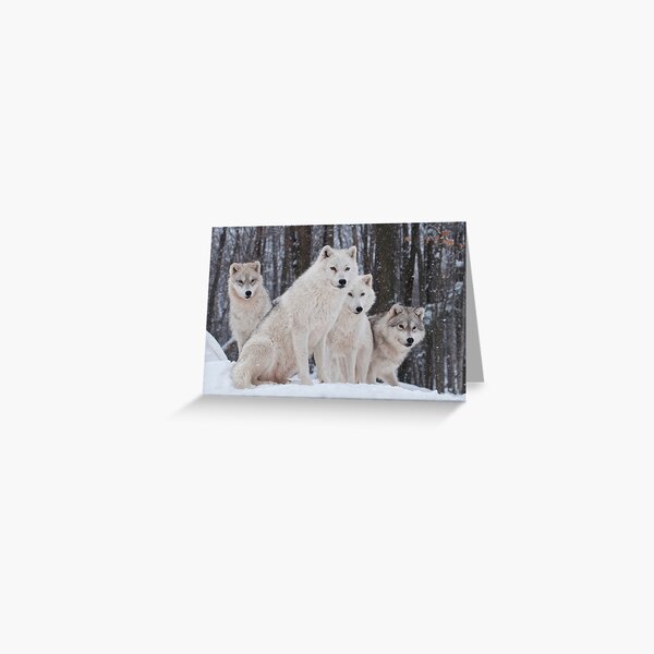 Item preview, Arctic Wolf Pack designed and sold by Bill Maynard.