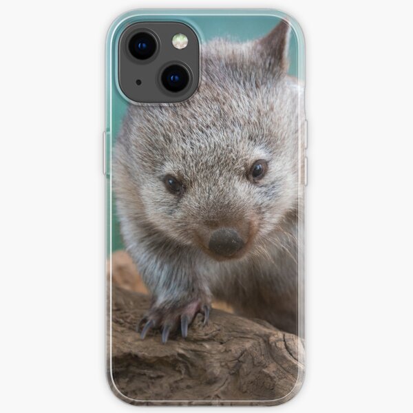 Baby wombat, Tasmania iPhone Soft Case