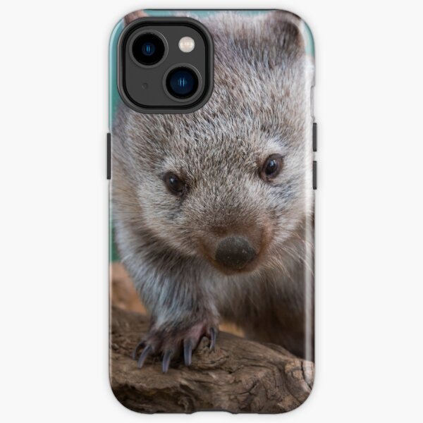 Baby wombat, Tasmania iPhone Tough Case