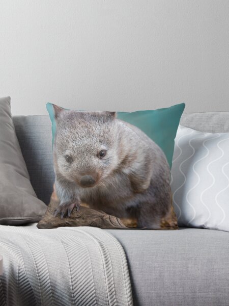 Vista previa del artículo con la obra «Bebé wombat, Tasmania», diseñado y vendido por pauldfleming.