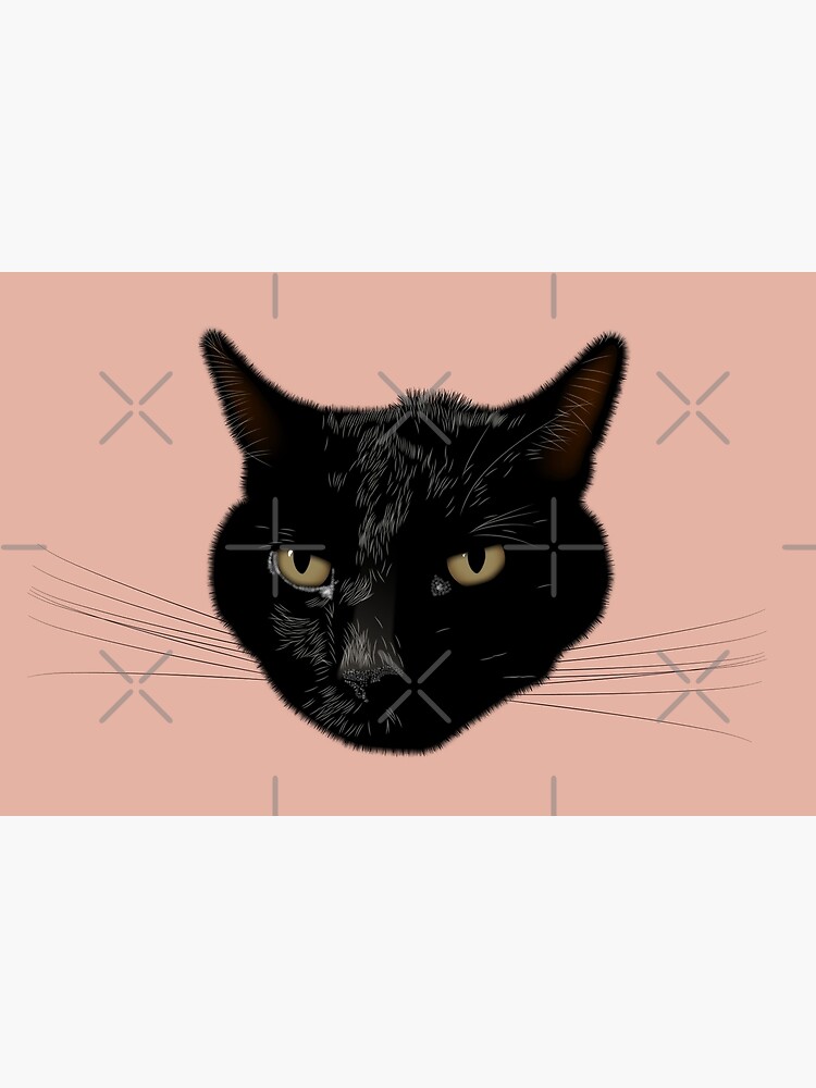 NDVH Kimmy the Cat by nikhorne