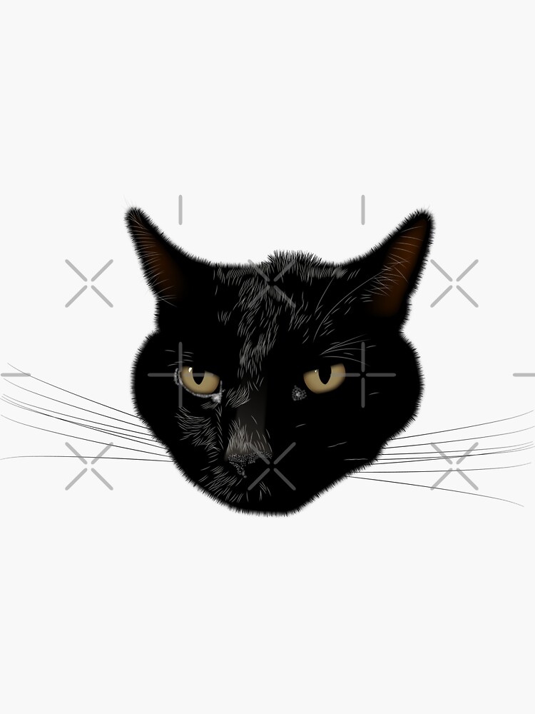 NDVH Kimmy the Cat by nikhorne