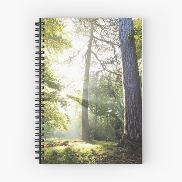 Item preview, Sunrays designed and sold by Theresa Selley.
