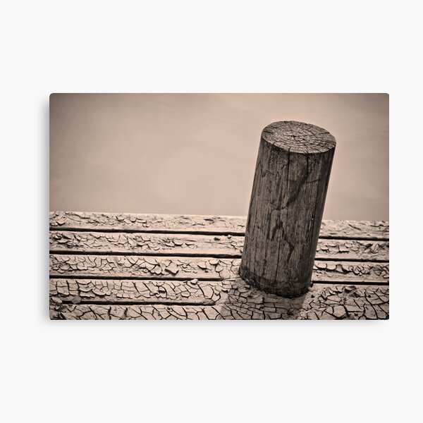 Dry Earth at Waters Edge - Lilydale Lake Canvas Print