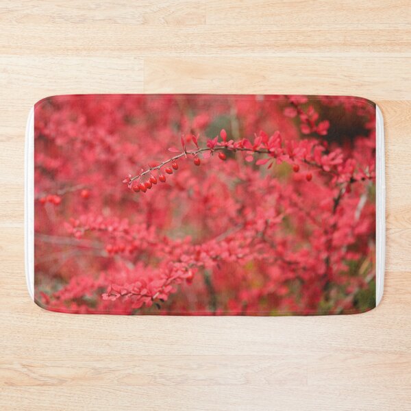 Item preview, Close-up of red barberry in autumn designed and sold by Juhku.