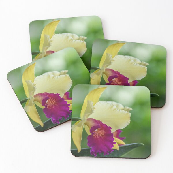 Item preview, Cattleya orchid designed and sold by Nicole Bleck.