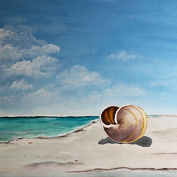 Artwork thumbnail, Shell by Roswitha Lorz