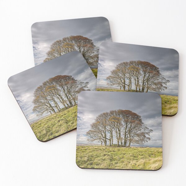 Item preview, Trees At Orton designed and sold by Reg-K-Atkinson.