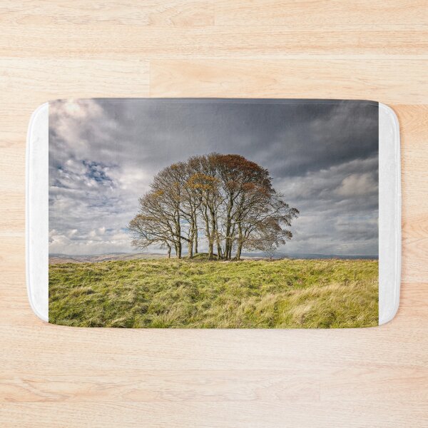 Item preview, Trees At Orton designed and sold by Reg-K-Atkinson.