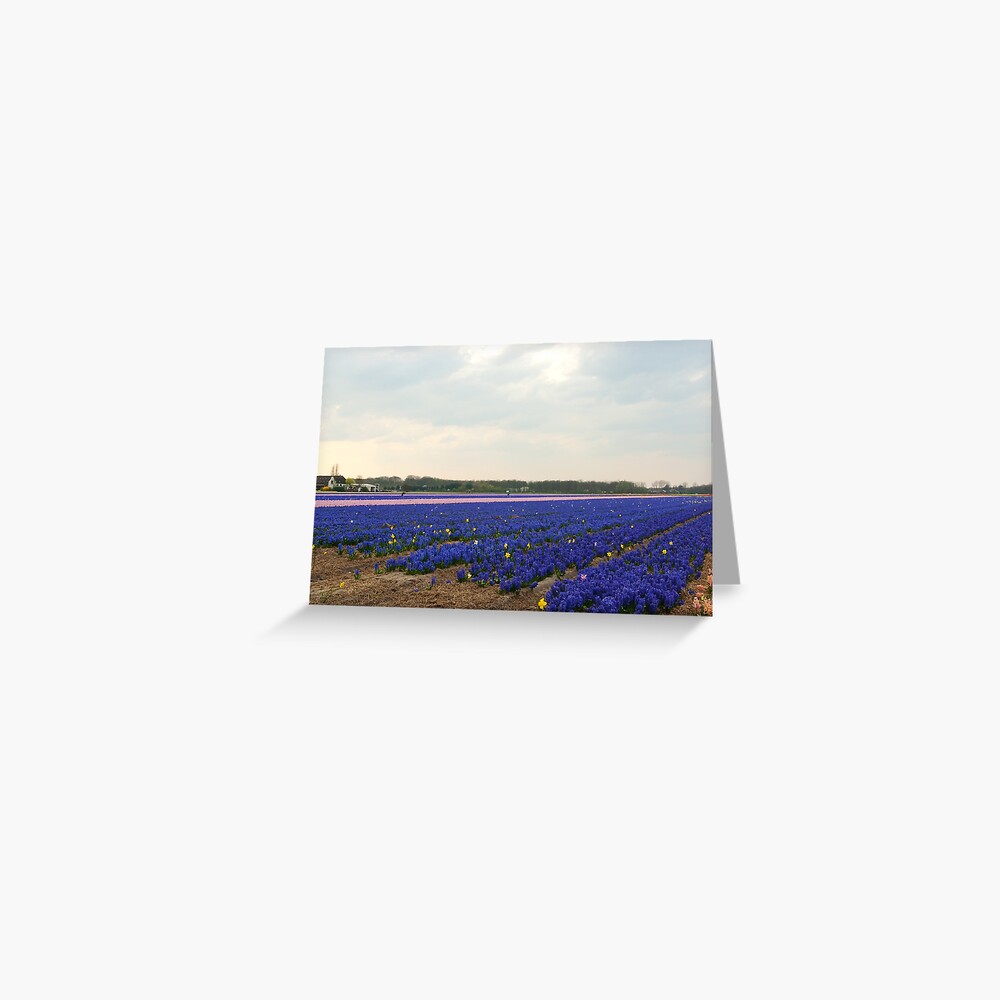 Item preview, Greeting Card designed and sold by steppeland.