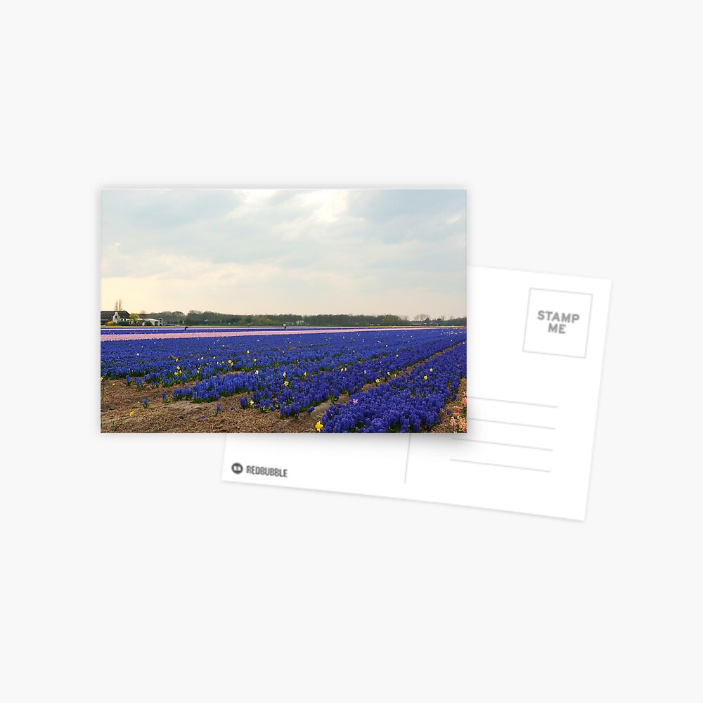 Item preview, Postcard designed and sold by steppeland.
