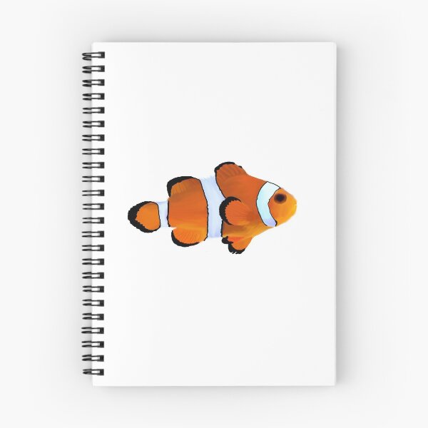 Item preview, Clown Fish designed and sold by Kelly-B.