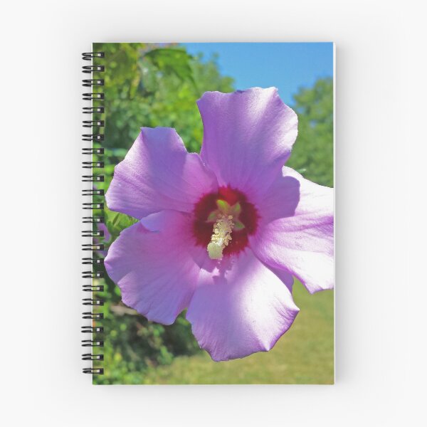 Item preview, "Rose Of Sharon" designed and sold by Robert Regenold's Art Shop.