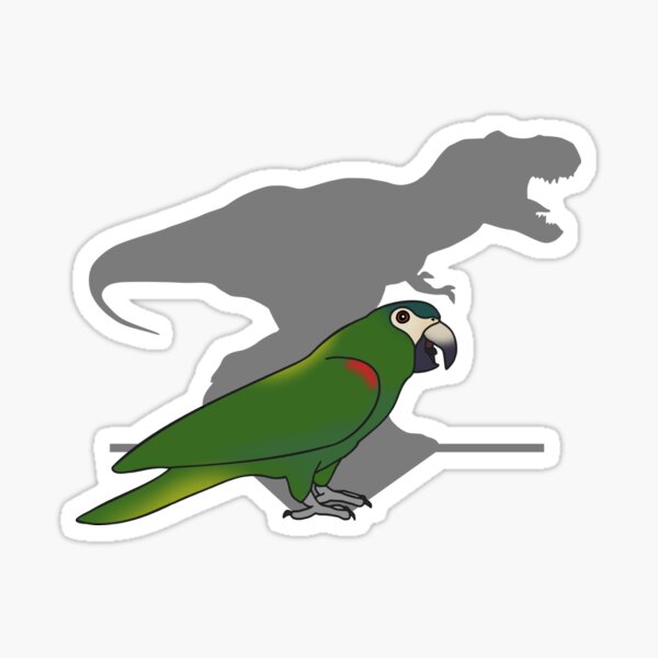 Parrot Memes Stickers for Sale