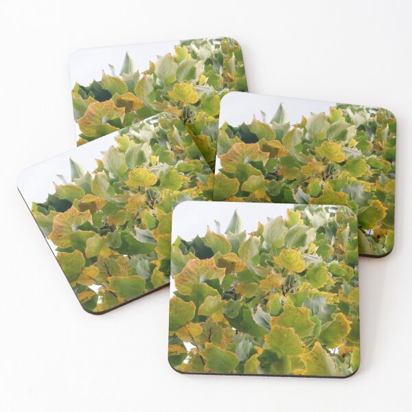 Item preview, Signs of Autumn designed and sold by cuprum.
