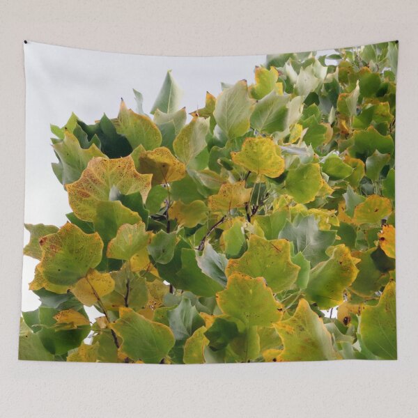 Item preview, Signs of Autumn designed and sold by cuprum.