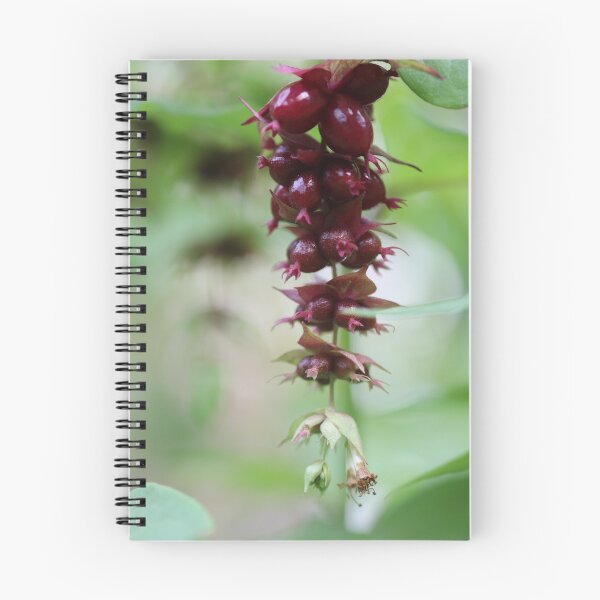 Item preview, Pheasant Berry designed and sold by cuprum.
