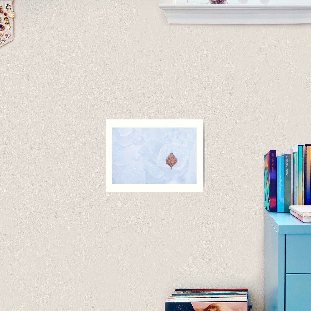 One birch tree leaf frozen on ice Art Print