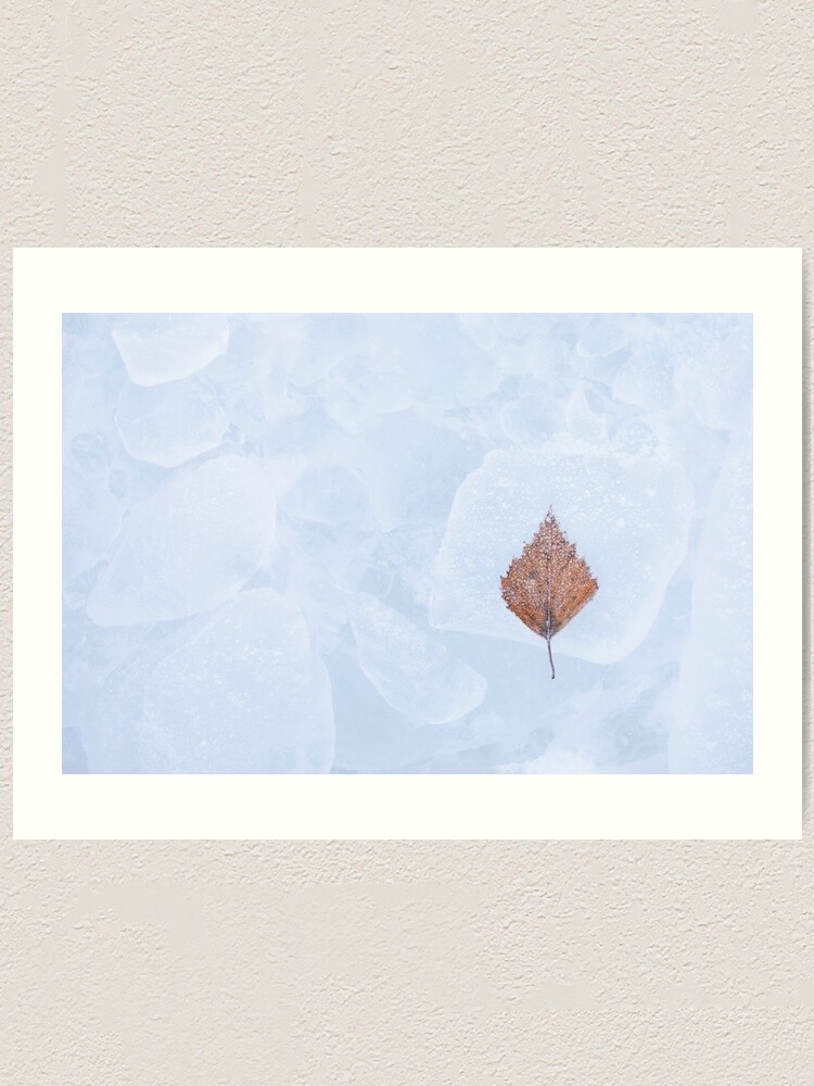 Alternate view of One birch tree leaf frozen on ice Art Print