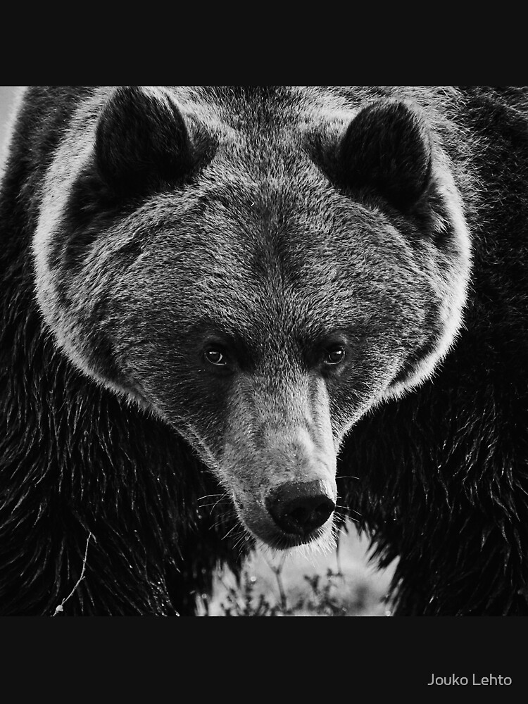 Drama king. Brown Bear in bw by JoukoKLehto